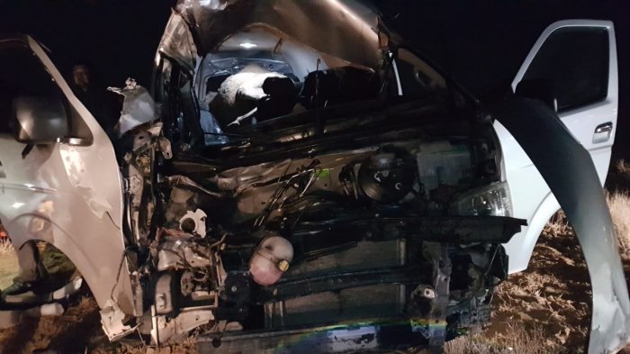 При столкновении автомобиля с верблюдом на трассе Актау - Жетыбай погиб человек