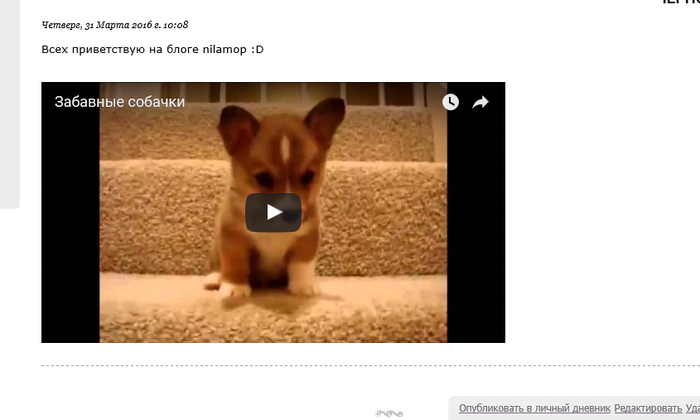 5861987_8 (700x420, 99Kb)