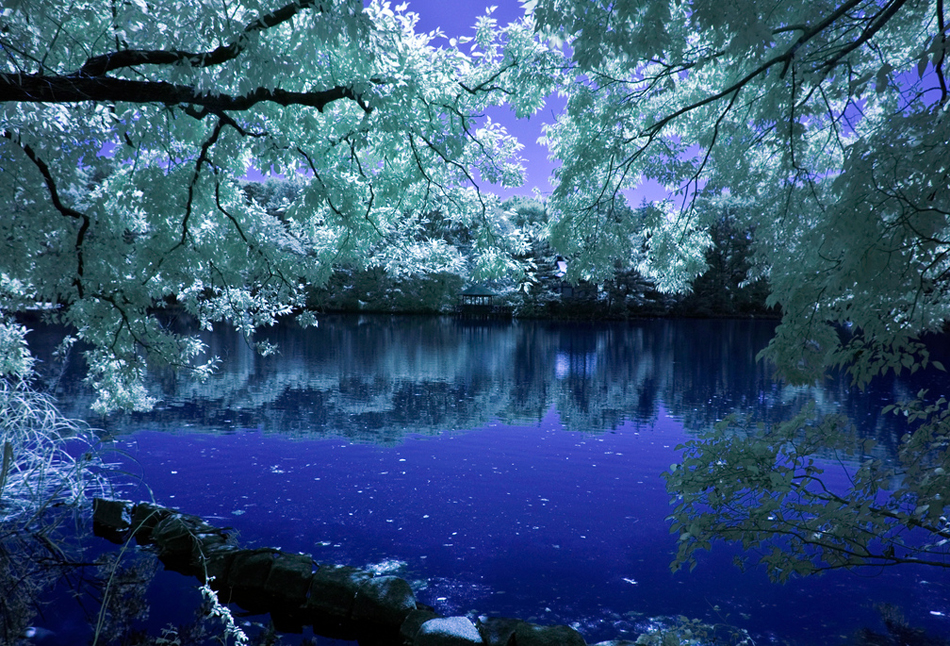Волшебное озеро слушать. Волшебное озеро. Природа красота неземная. Нереальная красота. Неземная Нереальная красота природы.
