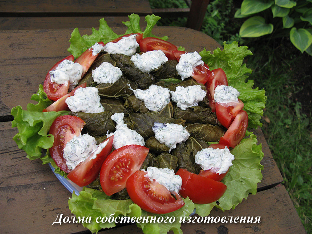 Dolma