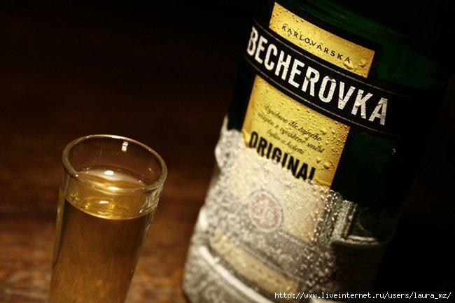 becherovka_big (650x433, 119Kb)
