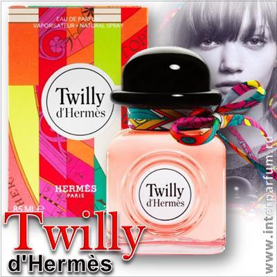twilly d hermes 1