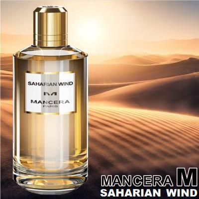 mancera saharian wind 1