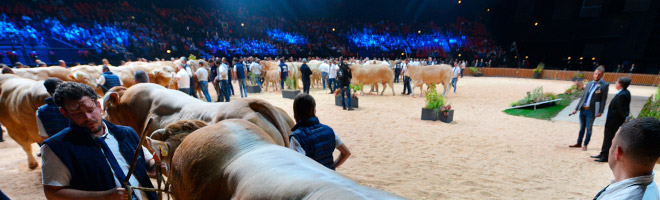 Animal competitions and conferences