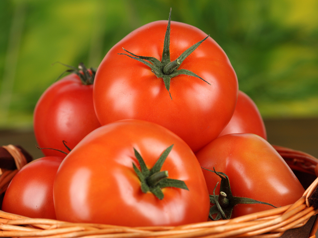 Basket, Organic Food, Food, помидоры (photo 0002997314JJ) stock photo image buy and download from royalty free photo stock Photl