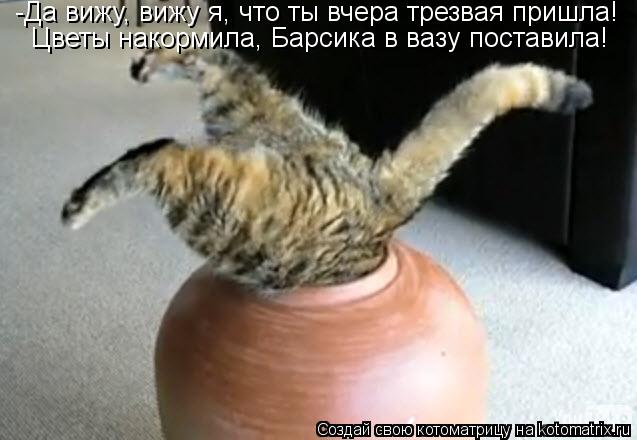 -Да вижу, вижу я, что ты вчера трезвая пришла! Цветы накормила, Барсика в вазу поставила!... -Да вижу, вижу я, что ты вчера трезвая пришла! Цветы накормила, Барсика в вазу поставила!