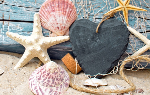 seashells-starfish-net-wood-6558 (596x380, 314Kb)