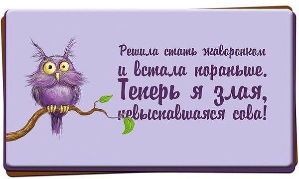 https://proxy.imgsmail.ru/?h=34mLVh7A-9tbILr1kdp_1A&e=1375585109&url717=img0.liveinternet.ru/images/attach/b/4/103/544/103544512_4278666_47ad76380de0c3707b2c84d2d07a2b9a_b.jpg