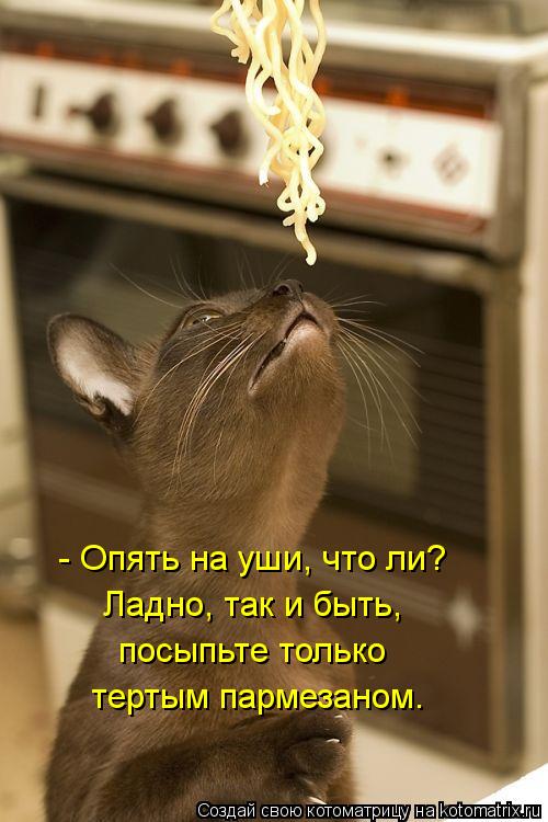 - Опять на уши, что ли? Ладно, так и быть, посыпьте только тертым пармезаном.... - Опять на уши, что ли? Ладно, так и быть, посыпьте только тертым пармезаном.