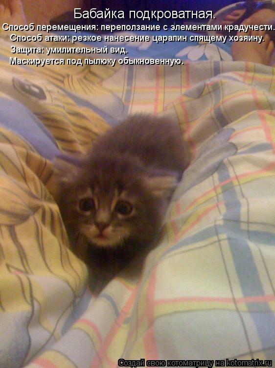 резкое ... резкое нанесение царапин спящему хозяину. З