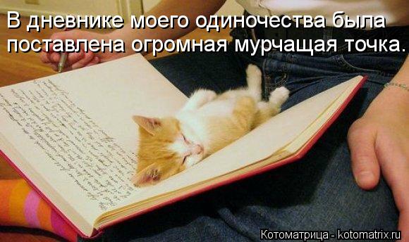 В дневнике моего одиночества была поставлена огромная мурчащая точка.... В дневнике моего одиночества была поставлена огромная мурчащая точка.