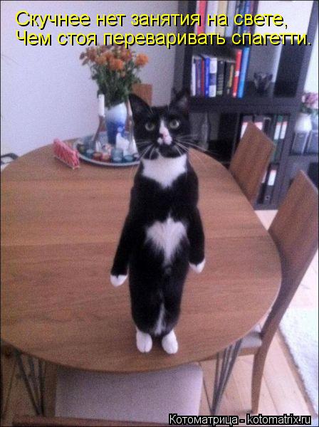 Скучнее нет занятия на свете, Чем стоя переваривать спагетти.... Скучнее нет занятия на свете, Чем стоя переваривать спагетти.