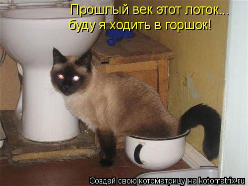 Прошлый век этот лоток... буду я ходить в горшок!... Прошлый век этот лоток... буду я ходить в горшок!