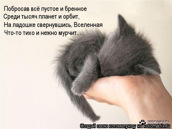 Побросав всё пустое и бренное Среди тысяч планет и орбит, Что-то тихо и нежно мурчит... На ладошке св... Побросав всё пустое и бренное Среди тысяч планет и орбит, Что-то тихо и нежно мурчит... На ладошке свернувшись, Вселенная