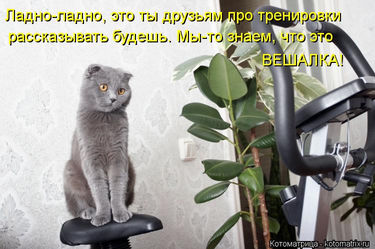 Ладно-ладно, это ты друзьям про тренировки рассказывать будешь. Мы-то знаем, что это ВЕШАЛКА!... Ладно-ладно, это ты друзьям про тренировки рассказывать будешь. Мы-то знаем, что это ВЕШАЛКА!