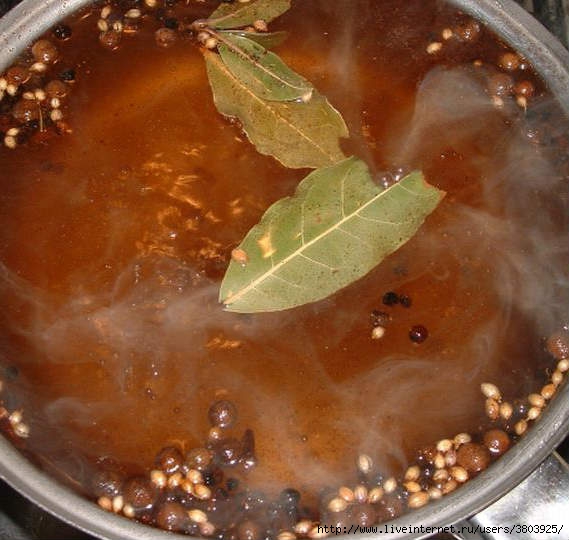 baklazhany-marinovannye-farshirovannye9 (569x540, 158Kb)