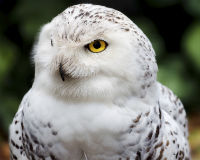 Please sign the petition today!