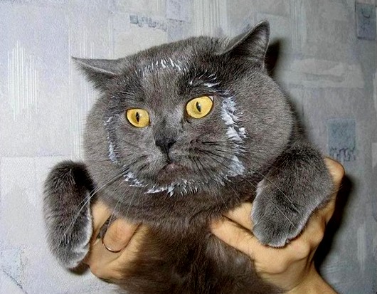 llxtr67j7wxf llxtr67j7wxf
