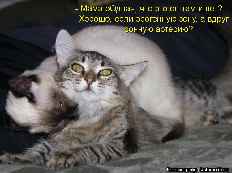 - Мама рОдная, что это он там ищет? Хорошо, если эрогенную зону, а вдруг сонную артерию?... - Мама рОдная, что это он там ищет? Хорошо, если эрогенную зону, а вдруг сонную артерию?