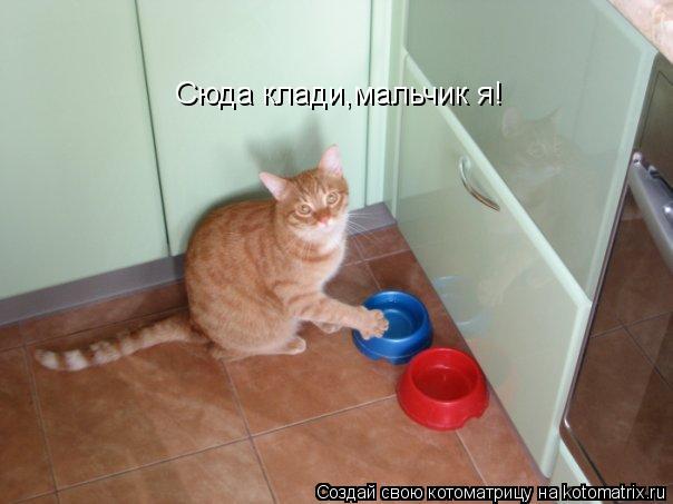 Сюда клади,мальчик я!... Сюда клади,мальчик я!