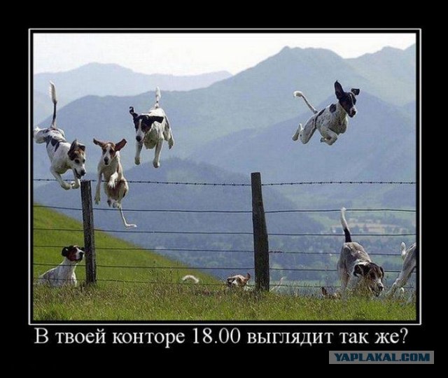 5187415_17Untitled_3 (640x540, 64Kb)