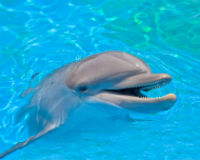 Please sign the petition today!