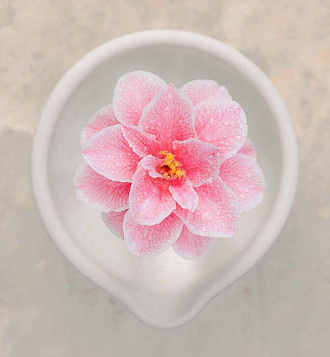 1 место. Дебби Хартли. «Победители фотоконкурса «International Garden Photographer of the Year»