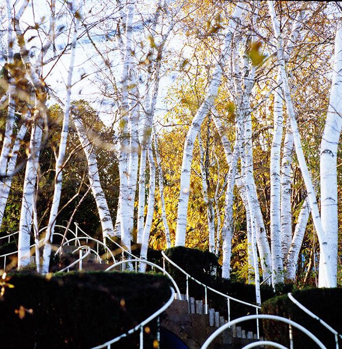 1 место. Дебби Хартли. «Победители фотоконкурса «International Garden Photographer of the Year»