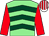 Light green, dark green chevrons, red sleeves, white and red striped cap