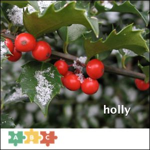 puzzle_holly