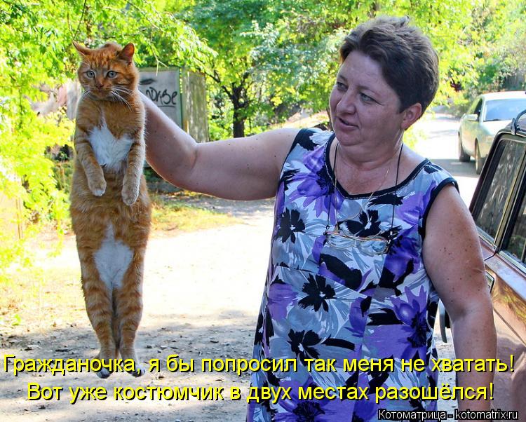 Гражданочка, я бы попросил так меня не хватать! Вот уже костюмчик в двух местах разошёлся!... Гражданочка, я бы попросил так меня не хватать! Вот уже костюмчик в двух местах разошёлся!