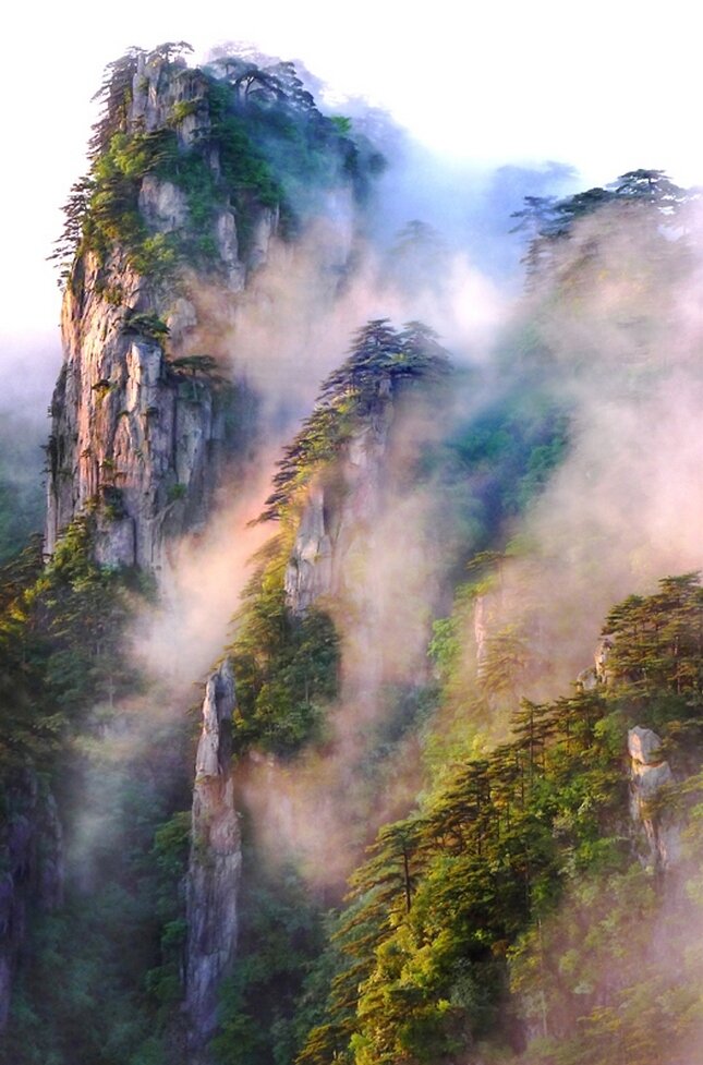 1 место. Дебби Хартли. «Победители фотоконкурса «International Garden Photographer of the Year»