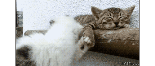 https://proxy.imgsmail.ru/?h=_WYQHVhmQqnQts_kceTe-Q&e=1367146655&url717=img0.liveinternet.ru/images/attach/c/6/92/615/92615990_4278666_541123c44ac00d0e02661ee8b40f6740_b.gif