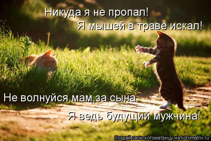 Никуда я не пропал! Я мышей в траве искал! Не волнуйся,мам,за сына Я ведь будущий мужчина!... Никуда я не пропал! Я мышей в траве искал! Не волнуйся,мам,за сына Я ведь будущий мужчина!