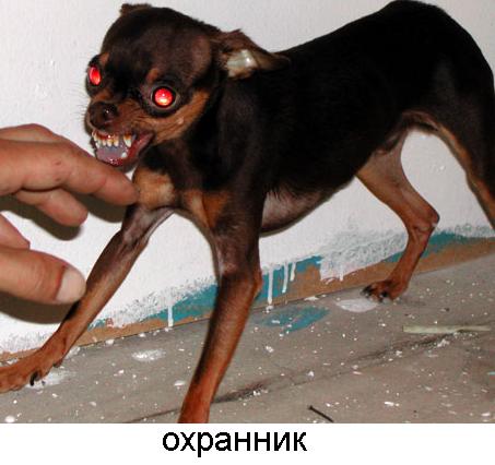 5187415_13Ohrannik (453x426, 29Kb)