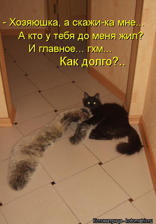 - Хозяюшка, а скажи-ка мне... А кто у тебя до меня жил? И главное... гхм... Как долго?..... - Хозяюшка, а скажи-ка мне... А кто у тебя до меня жил? И главное... гхм... Как долго?..