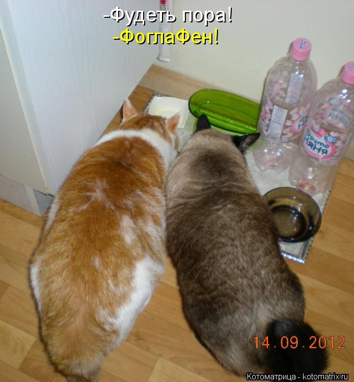 -Фудеть пора! -ФоглаФен!... -Фудеть пора! -ФоглаФен!