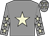 Grey, beige star, grey sleeves, beige stars and stars on cap