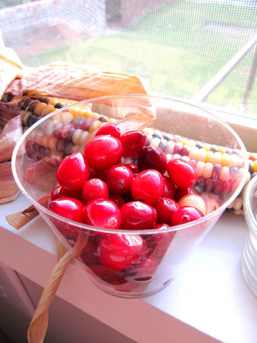 1381699349_IMG_0002 (525x700, 92Kb)