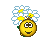 daisy :daisy: