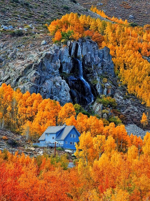 tumblr_mdhffuzJv21r6ji5co1_500 (500x670, 184Kb)