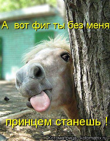 принцем станешь ! А вот фиг ты без меня... принцем станешь ! А вот фиг ты без меня