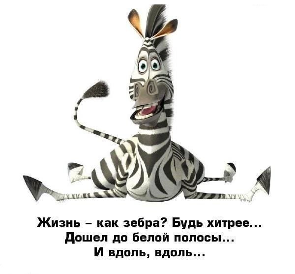 https://proxy.imgsmail.ru/?h=jolO-QMnyuOzEiN9RSSvbw&e=1360212869&url717=img1.liveinternet.ru/images/attach/c/7/96/954/96954839_4278666_3f08c8eadfe34a43194751c6e55ed050_b_1_.jpg