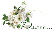 92724587_0_955b0_18f55604_Mkopirovanie.p