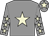 Grey, Beige Star, Grey Sleeves, Beige Stars And Star On Cap