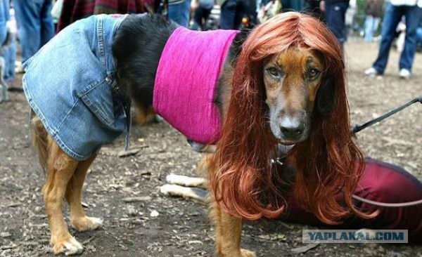 5187415_9Klava_iz_sosednego_otdela (600x366, 61Kb)