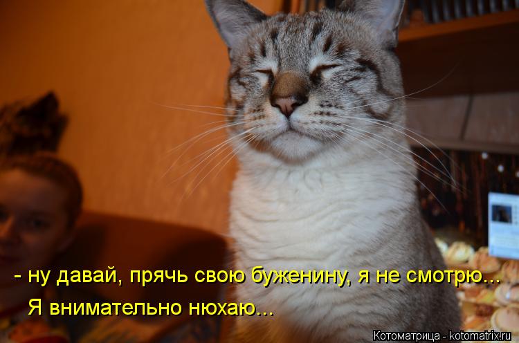 - ну давай, прячь свою буженину, я не смотрю... Я внимательно нюхаю...... - ну давай, прячь свою буженину, я не смотрю... Я внимательно нюхаю...