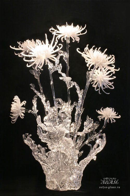 Белые хризантемы