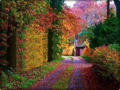 tumblr_mf4ozqqank1r6ji5co1_500 (500x375, 83Kb)