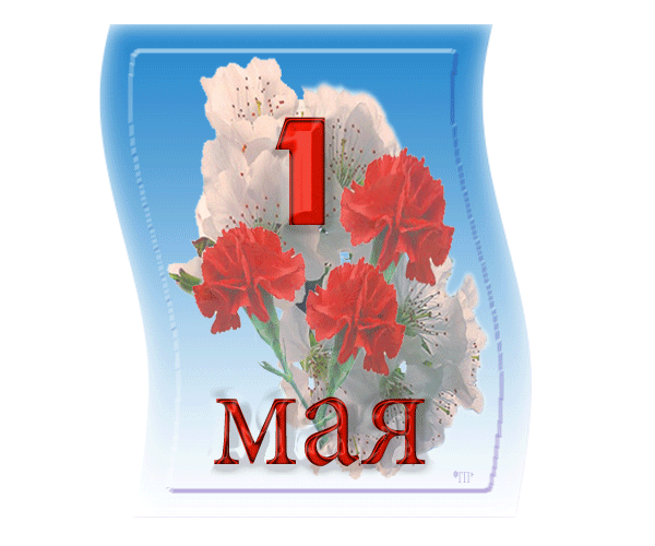   1 . 1 